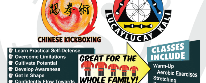 chinese kickboxing class