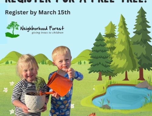 Free Trees For Kids This Earthday !