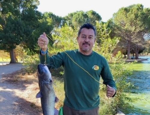 Fish Report 10/16/25