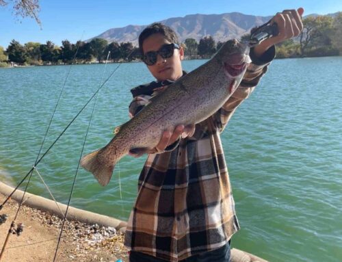 Fish Report 11/22/25