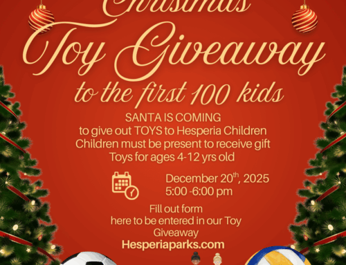 TOY Giveaway