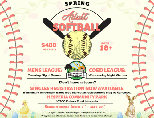 2026 Spring Adult Softball